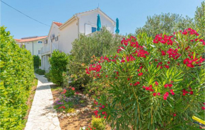 Awesome apartment in Tribunj with WiFi and 1 Bedrooms